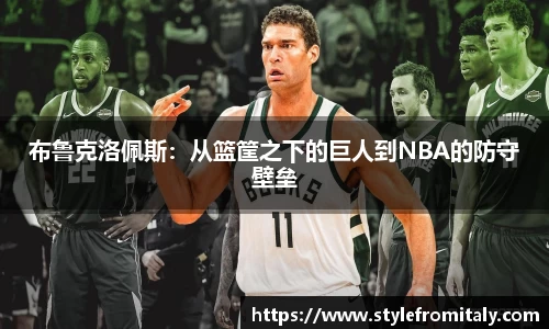 布鲁克洛佩斯：从篮筐之下的巨人到NBA的防守壁垒